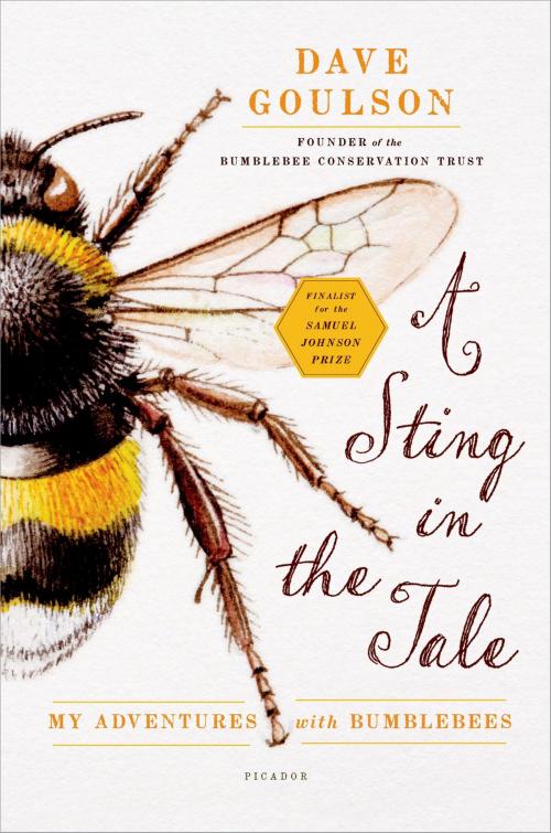 Cover of the book A Sting in the Tale by Dave Goulson, Picador