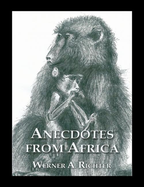 Cover of the book Anecdotes from Africa by Werner Richter, Lulu.com