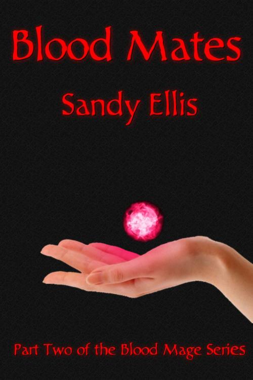 Cover of the book Blood Mates by Sandy Ellis, Sandy Ellis