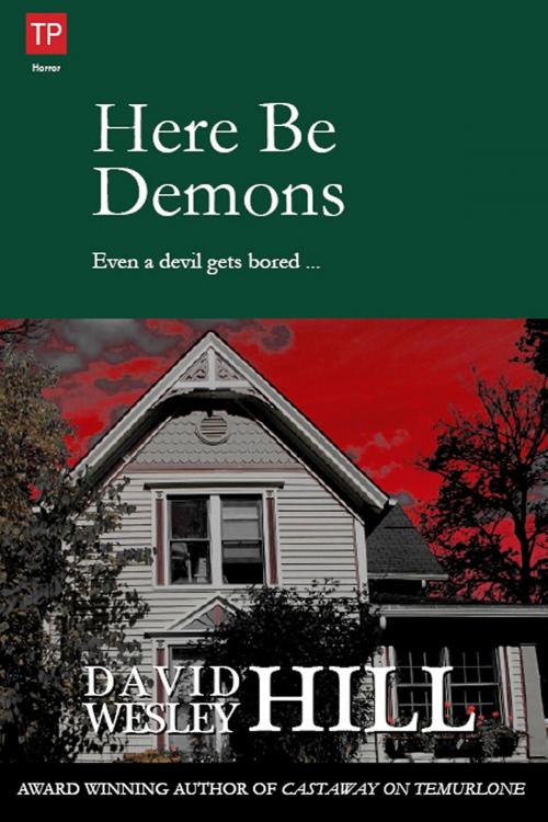 Cover of the book Here Be Demons by David Wesley Hill, David Wesley Hill
