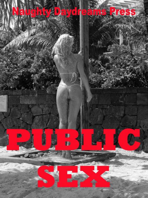 Cover of the book Public Sex by Naughty Daydreams Press, Naughty Daydreams Press