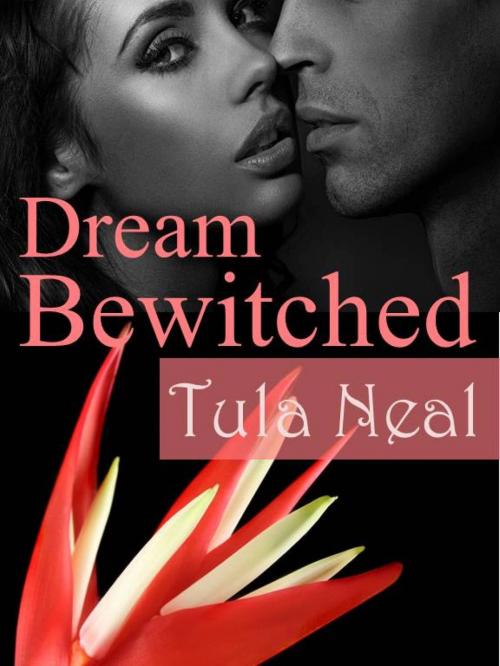 Cover of the book Dream Bewitched by Tula Neal, Moon Mountain Press