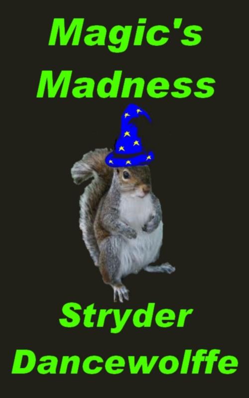 Cover of the book Magic's Madness by Stryder Dancewolffe, Stryder Dancewolffe