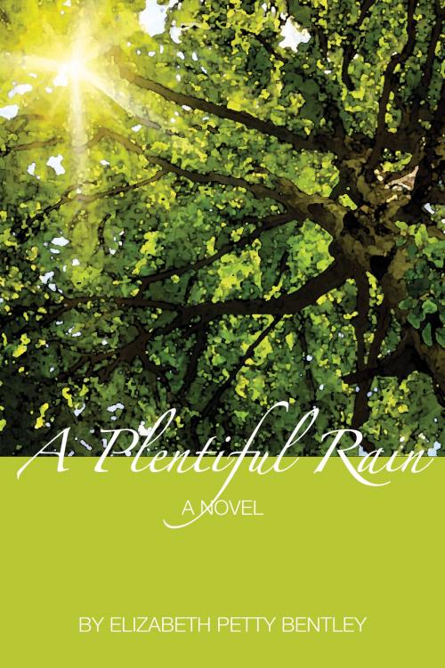 Cover of the book A Plentiful Rain by Elizabeth Petty Bentley, Parables