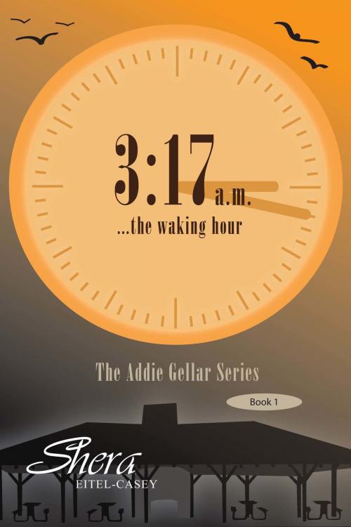 Cover of the book 3:17a.m. ...The Waking Hour by Shera Eitel-Casey, Shera Eitel-Casey