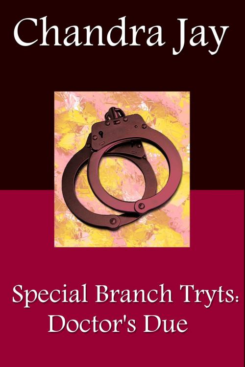 Cover of the book Special Branch Trysts: Doctor's Due by Chandra Jay, Chandra Jay