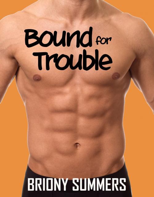 Cover of the book Bound for Trouble by Briony Summers, Briony Summers