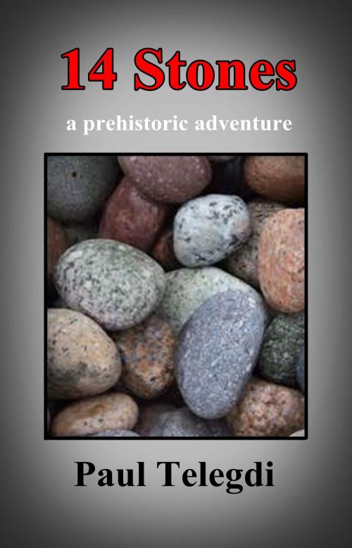Cover of the book 14 Stones by Paul Telegdi, Paul Telegdi