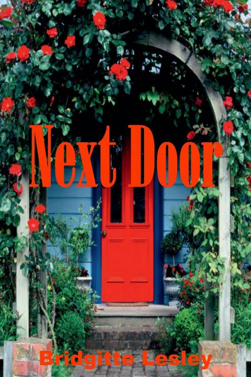 Cover of the book Next Door by Bridgitte Lesley, Bridgitte Lesley