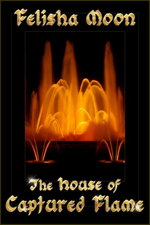 Cover of the book The House of Captured Flame by Felisha Moon, Felisha Moon