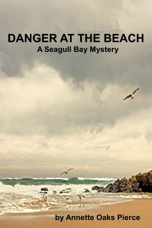 Cover of the book Danger At The Beach (A Seagull Bay Mystery) by Annette Oaks Pierce, Annette Oaks Pierce