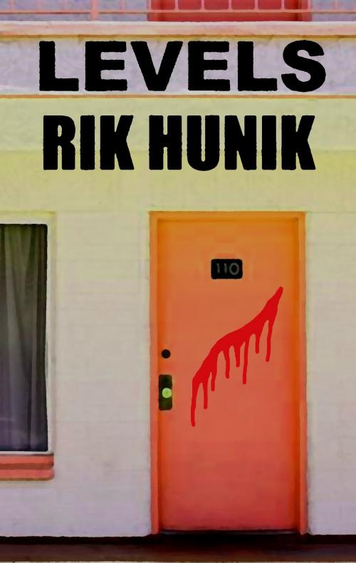 Cover of the book Levels by Rik Hunik, Rik Hunik