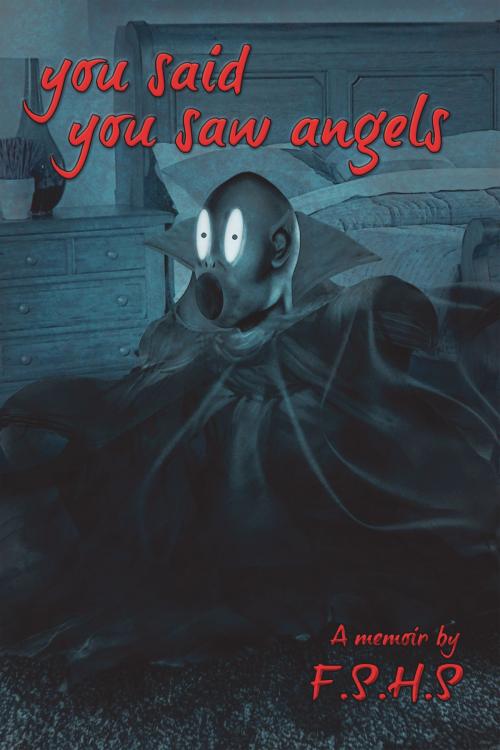 Cover of the book You said You saw Angels by F.S. H.S, F.S. H.S