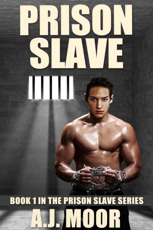 Cover of the book Prison Slave: Book 1 in the Prison Slave Series by A.J. Moor, A.J. Moor