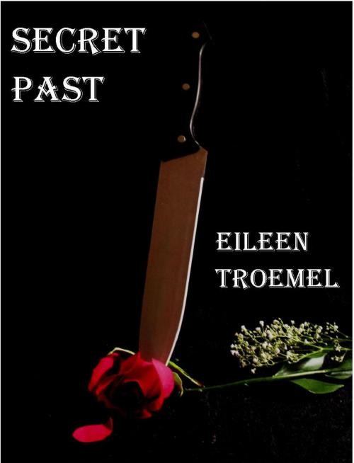 Cover of the book Secret Past by Eileen Troemel, Eileen Troemel