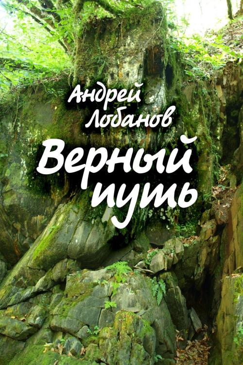 Cover of the book Верный путь by Andrei Lobanov, T/O "Neformat"