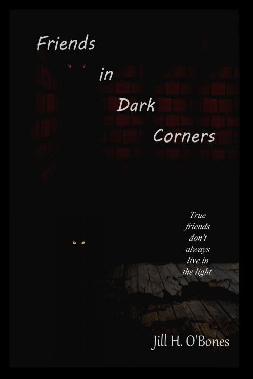Cover of the book Friends in Dark Corners by Jill H. O'Bones, Jill H. O'Bones