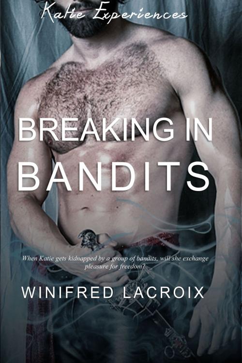 Cover of the book Katie Experiences #2: Breaking in Bandits (Gang Bang Erotica) by Winifred LaCroix, Winifred LaCroix