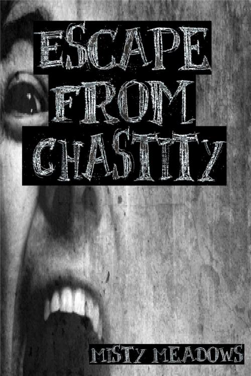 Cover of the book Escape From Chastity (Femdom, Chastity) by Misty Meadows, Misty Meadows