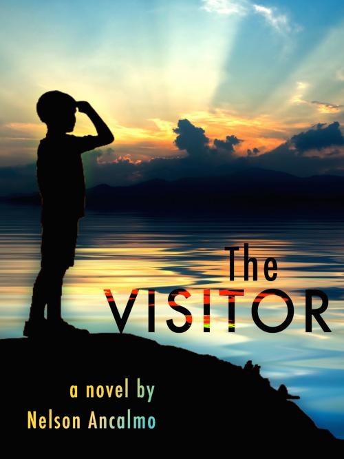 Cover of the book The Visitor by Nelson Ancalmo, Nelson Ancalmo
