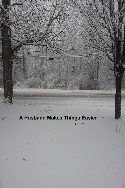 Cover of the book A Husband Makes Things Easier by TJ Seitz, TJ Seitz