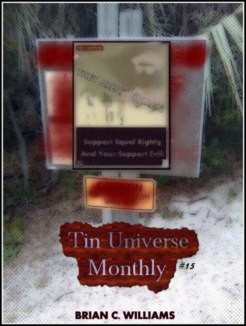 Cover of the book Tin Universe Monthly #15 by Brian C. Williams, Brian C. Williams