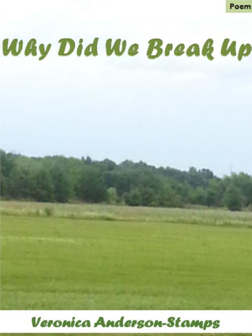 Cover of the book Why Did We Break Up by Veronica Anderson-Stamps, Veronica Anderson-Stamps