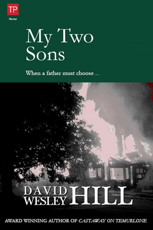 Cover of the book My Two Sons by David Wesley Hill, David Wesley Hill