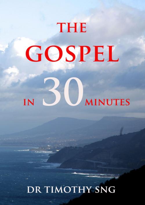 Cover of the book "The Gospel in 30 Minutes" by Dr.Timothy Sng, Dr.Timothy Sng