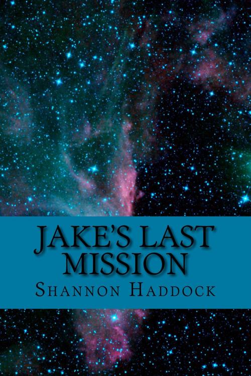 Cover of the book Jake's Last Mission by Shannon Haddock, J. M. Brink & Shannon Haddock