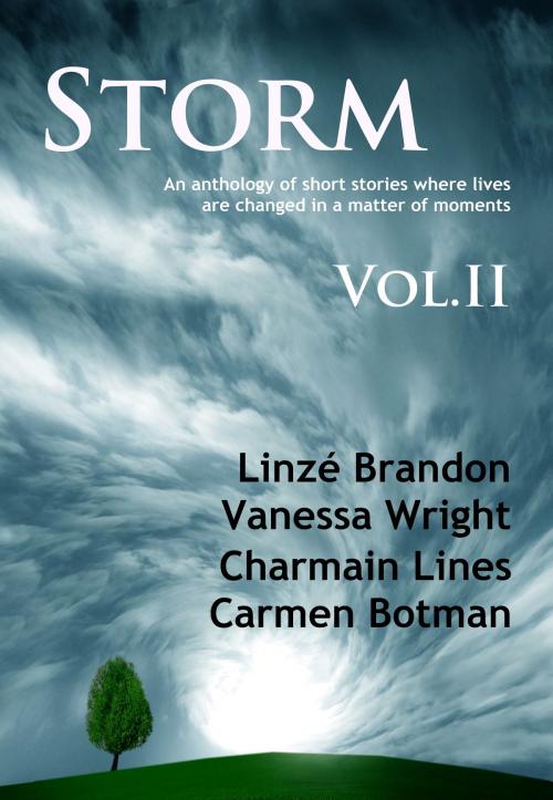 Cover of the book STORM Volume II by Linzé Brandon, Vanessa Wright, Charmain Lines, Carmen Botman, Linzé Brandon