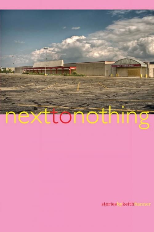 Cover of the book Next to Nothing: Stories by Keith Banner, Lethe Press