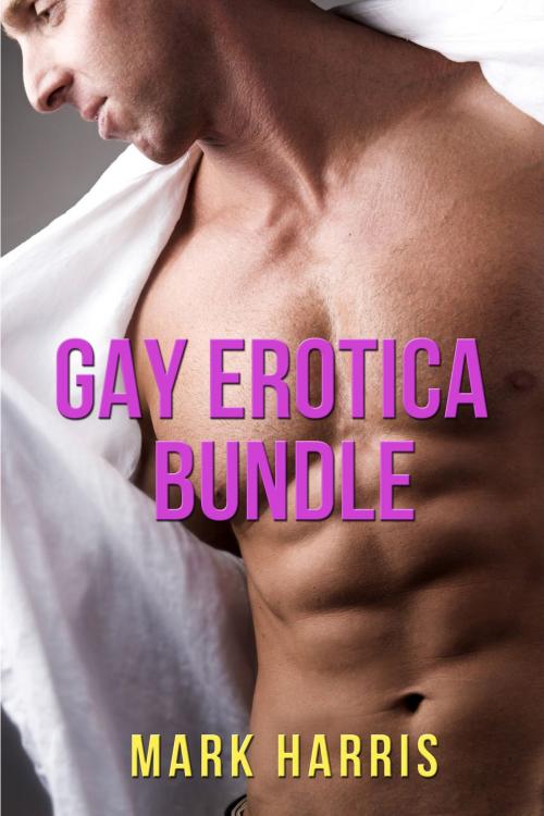 Cover of the book Gay Erotica Bundle by Mark Harris, Aria Fox
