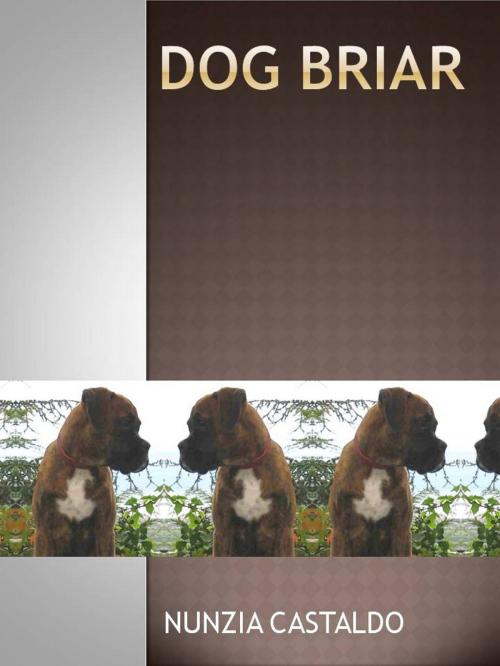 Cover of the book Dog Briar by Nunzia Castaldo, Nunzia Castaldo