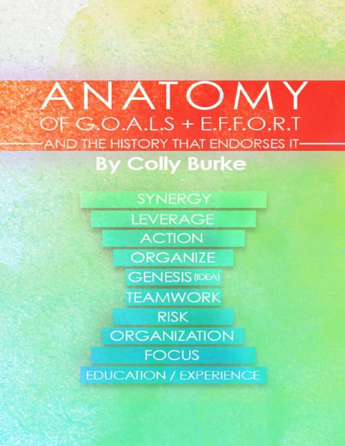Cover of the book Anatomy of G.O.A.L.S. + E.F.F.O.R.T and the History That Endorses It by Colly Burke, Lulu.com