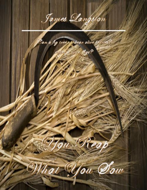 Cover of the book You Reap What You Sow by James Langston, Lulu.com