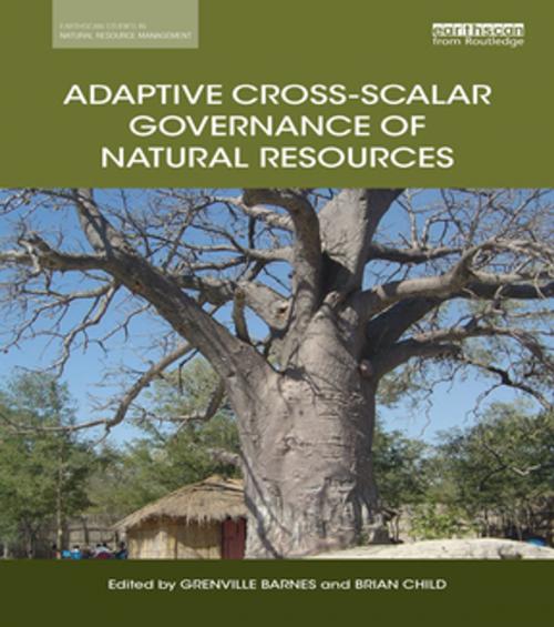 Cover of the book Adaptive Cross-scalar Governance of Natural Resources by , Taylor and Francis