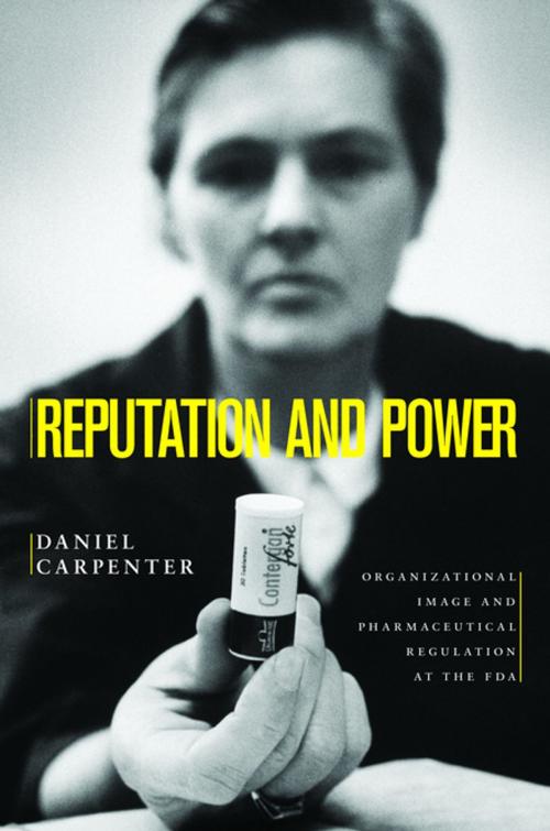 Cover of the book Reputation and Power by Daniel Carpenter, Princeton University Press