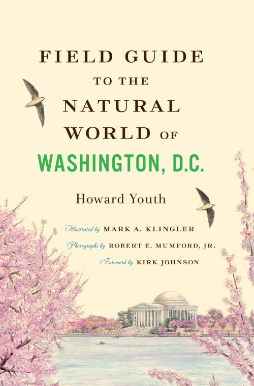 Cover of the book Field Guide to the Natural World of Washington, D.C. by Howard Youth, Johns Hopkins University Press