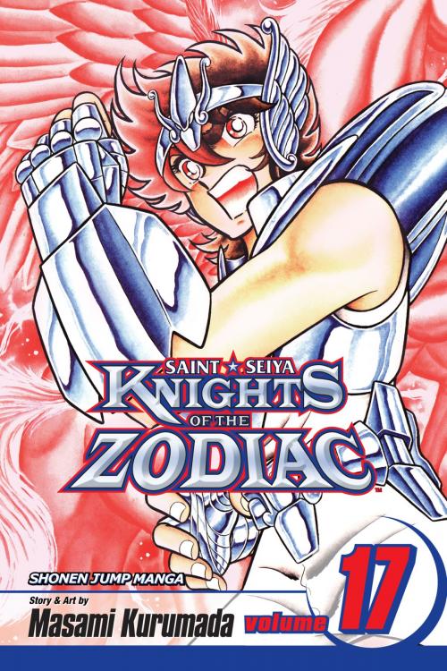 Cover of the book Knights of the Zodiac (Saint Seiya), Vol. 17 by Masami Kurumada, VIZ Media