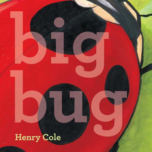 Cover of the book Big Bug by Henry Cole, Little Simon