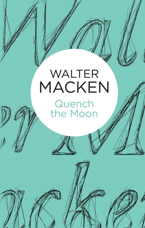 Cover of the book Quench the Moon by Walter Macken, Pan Macmillan