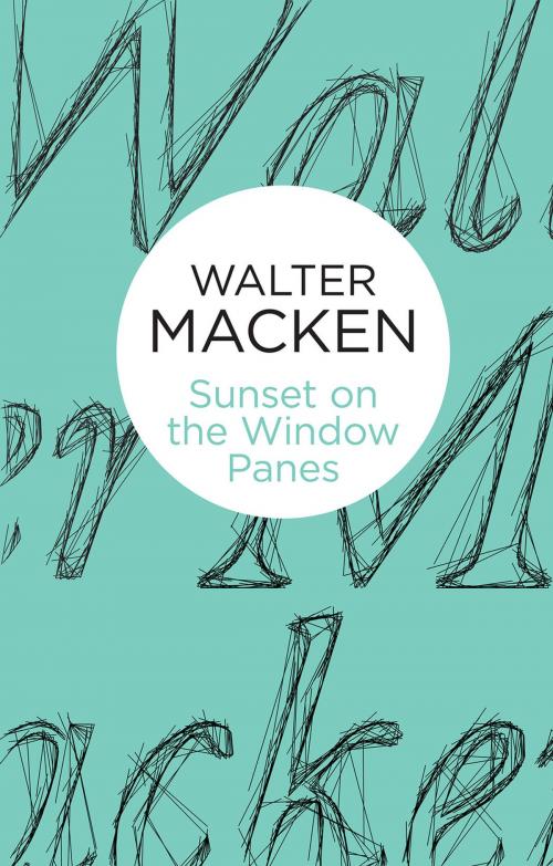 Cover of the book Sunset on the Window-Panes by Walter Macken, Pan Macmillan