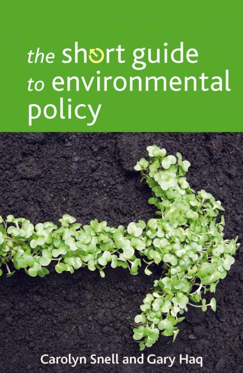 Cover of the book The short guide to environmental policy by Snell, Carolyn, Haq, Gary, Policy Press