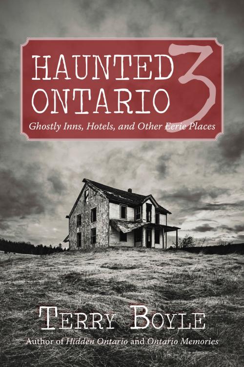 Cover of the book Haunted Ontario 3 by Terry Boyle, Dundurn