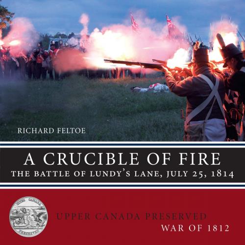Cover of the book A Crucible of Fire by Richard Feltoe, Dundurn