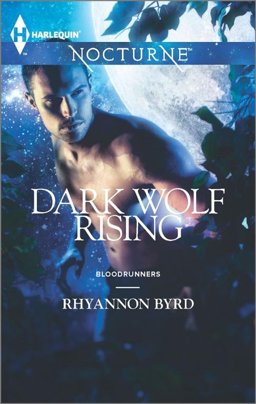 Cover of the book Dark Wolf Rising by Rhyannon Byrd, Harlequin