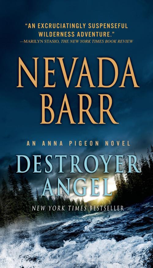 Cover of the book Destroyer Angel by Nevada Barr, St. Martin's Press