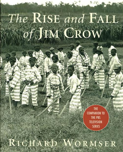 Cover of the book The Rise and Fall of Jim Crow by Richard Wormser, St. Martin's Press