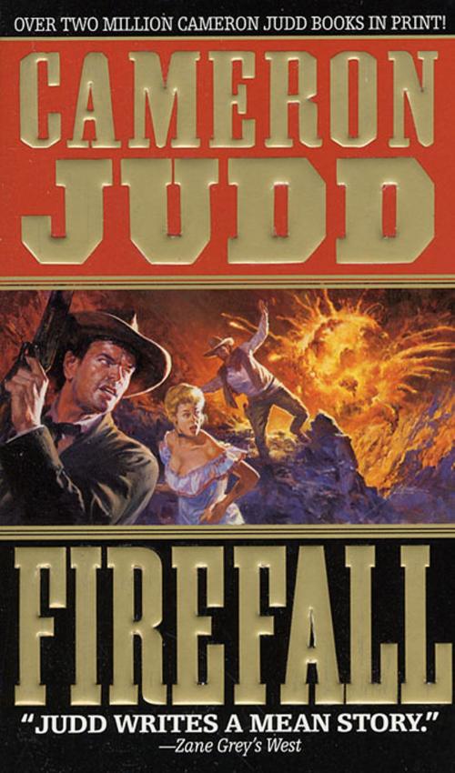 Cover of the book Firefall by Cameron Judd, St. Martin's Press